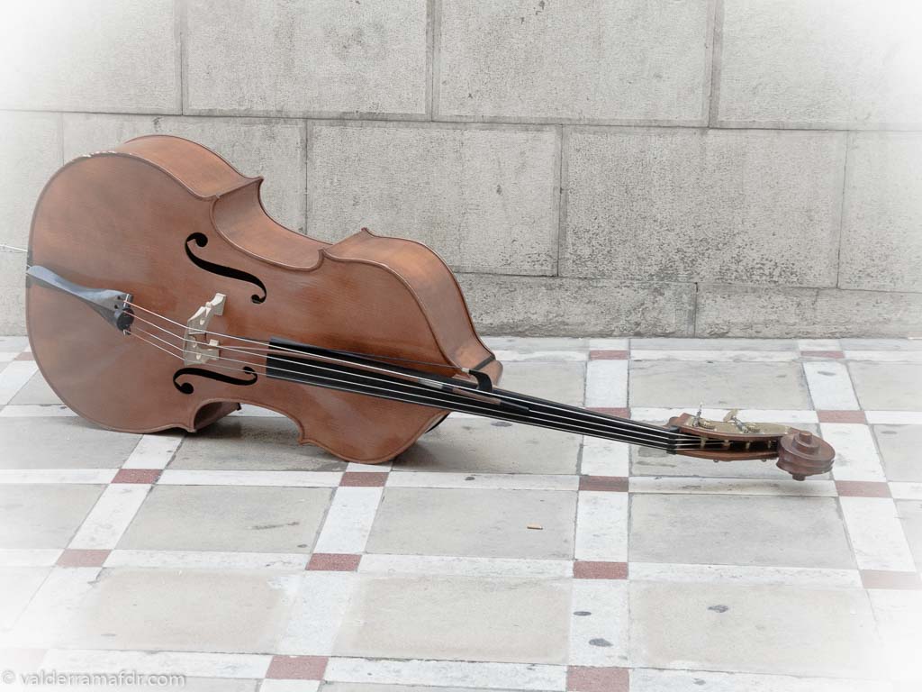 violonchelo