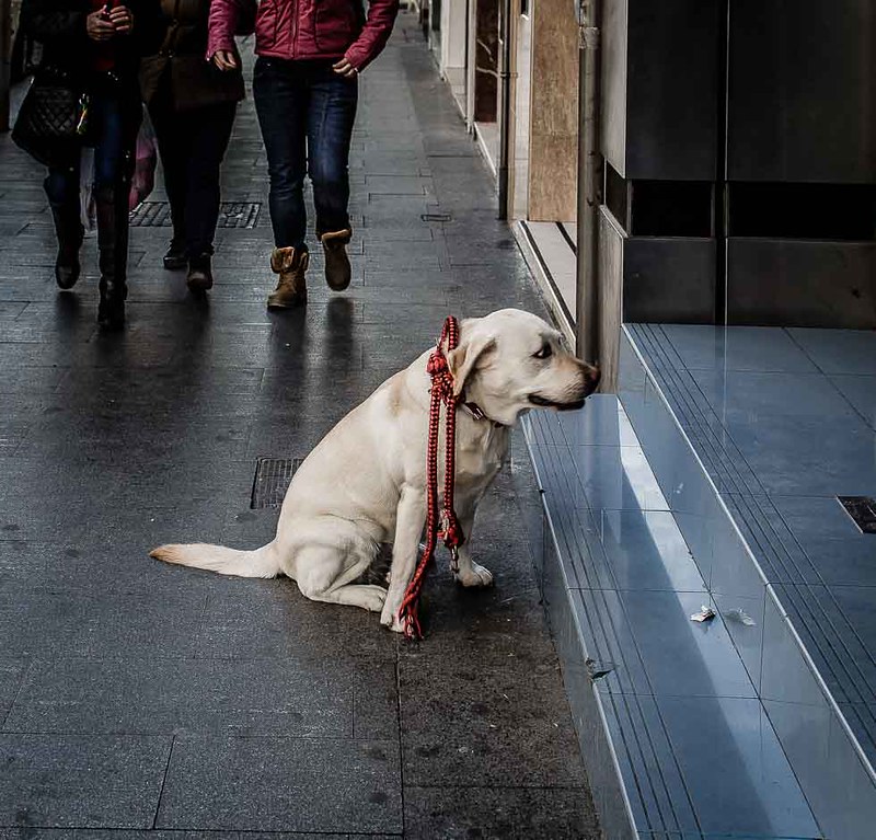 Esperando al jefe