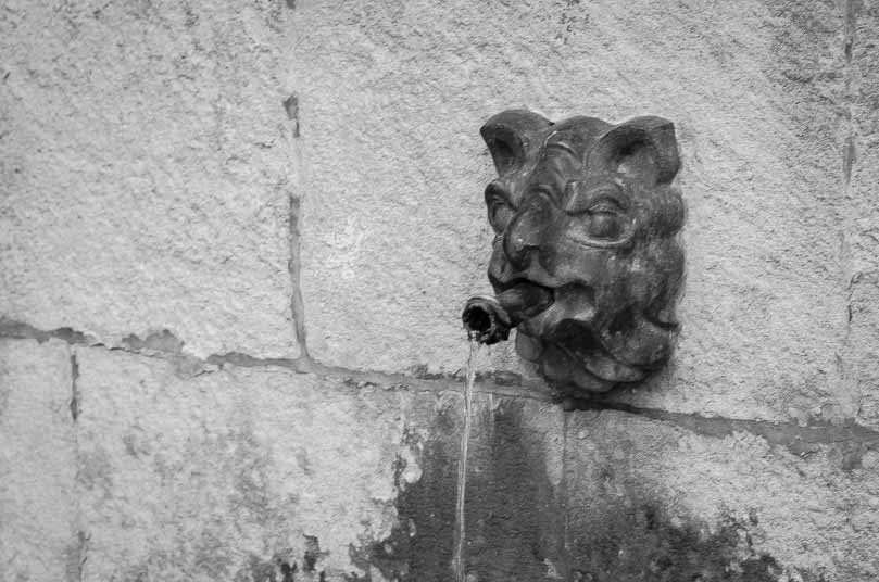 Grifo de la fuente de la Plaza del Pósito en Jaén