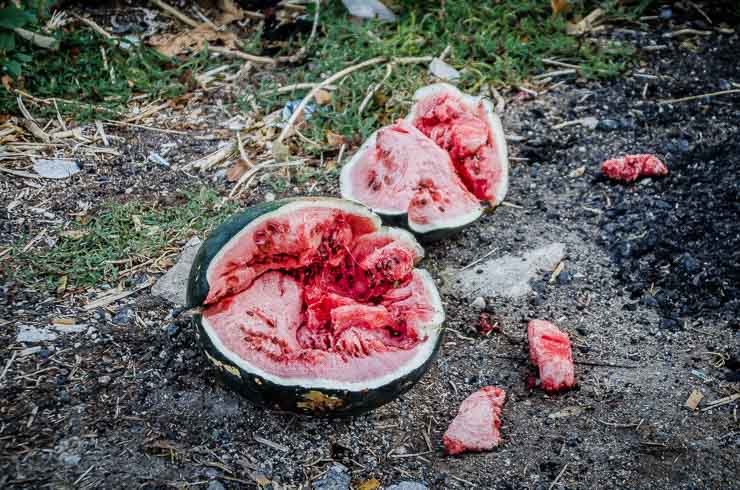 sandia en el suelo o un bodegon